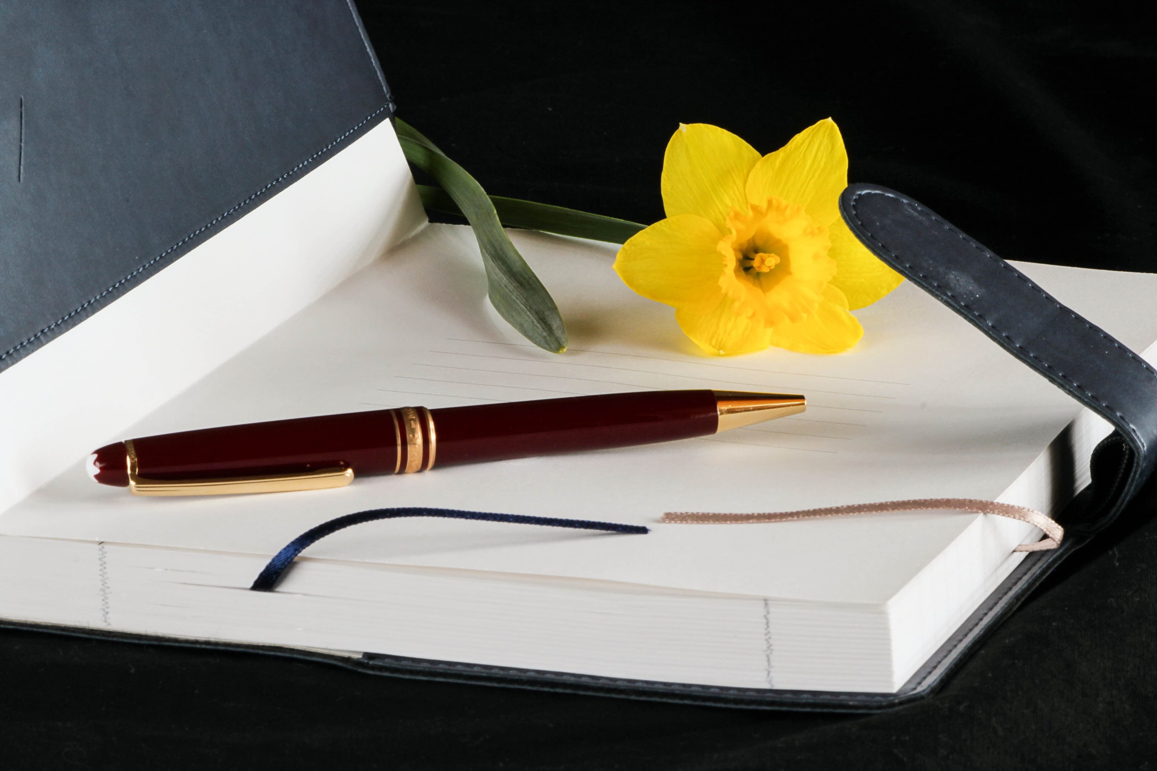 The Heart of The Pen